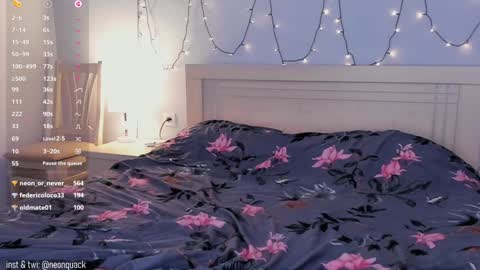 Snapshot of neonquack chatting on 12.16.24 Riley online show from 12.16.24