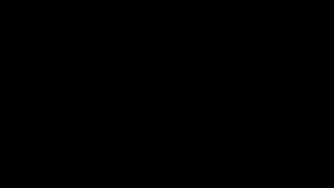 never_forget_this online show from 02.18.26