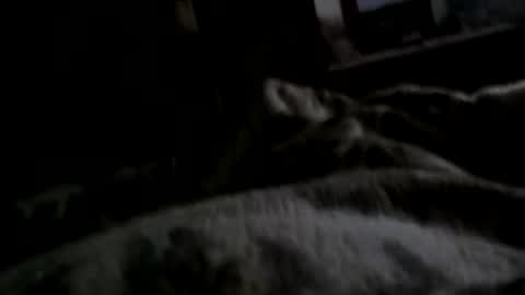 Matt online show from 12.11.24