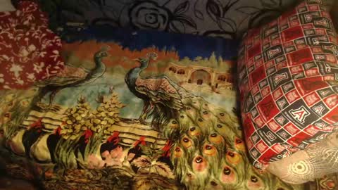 Lilly  online show from 04.10.26