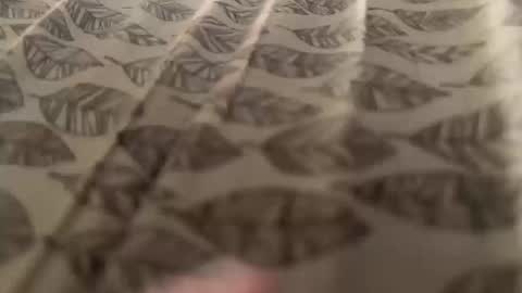 Snapshot of newby101 chatting on 10.12.25 Meow Meow online show from 10.12.25