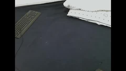 nia_0 online show from 03.16.26