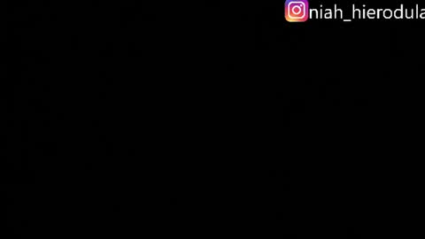 niah online show from 07.01.26