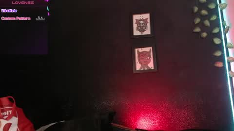  niakat  online show from 06.05.26