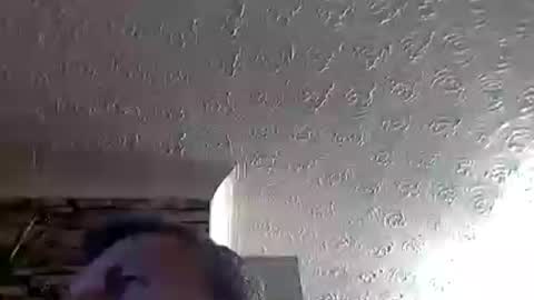 nice_cock8080 online show from 07.04.26