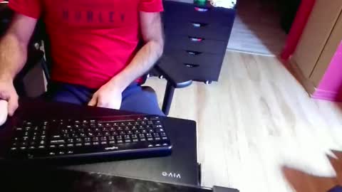 Snapshot of nicecck24 chatting on 02.02.26 nicecck24 online show from 02.02.26