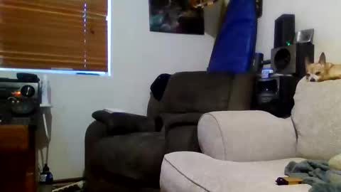 Snapshot of niceozziecockxxx chatting on 02.20.26 Sexiishaine online show from 02.20.26