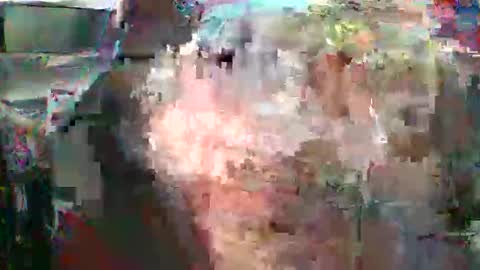 nick stavrou online show from 02.16.26