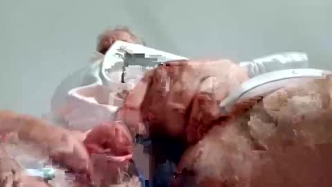 TheCock online show from 12.28.24