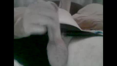 TheCock online show from 10.31.25