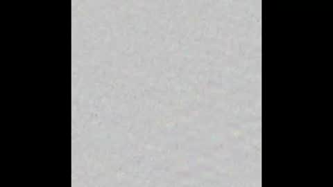 Nicolas Caged online show from 03.30.26