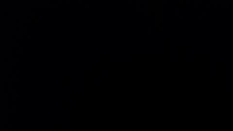 Nicole online show from 12.03.25