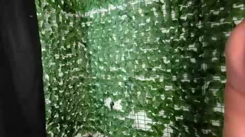 nicoleirisxxx online show from 07.01.26