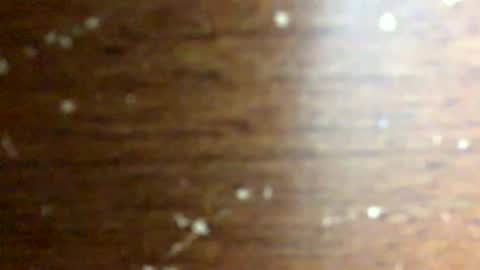 nightmoves1970 online show from 02.18.26