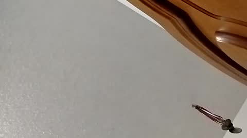 nightnightlol online show from 02.11.25