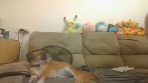 Brian and Logan Brogan online show from 11.04.25