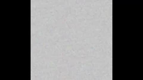 Snapshot of nikkiramone chatting on 01.19.26 Nikki Ramone online show from 01.19.26