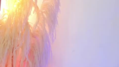    online show from 07.09.26