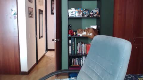 Snapshot of nina_moonbeam chatting on 12.03.25 Nina Moon online show from 12.03.25