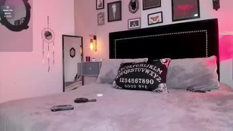 Snapshot of ninaevanss chatting on 02.08.26 Alisson online show from 02.08.26