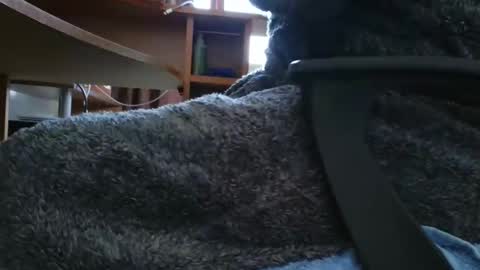 nineinchhard online show from 03.06.25