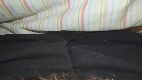 Snapshot of niterider22 chatting on 03.14.26 niterider22 online show from 03.14.26