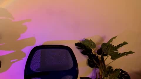 noah_dupont_ online show from 11.10.25