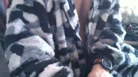 Boingyyyy online show from 12.14.25