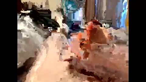 nolplus online show from 03.05.25