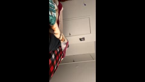 se le perdio algo perra hp online show from 01.10.25