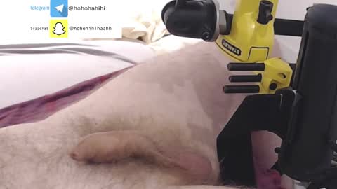 nuche99 online show from 11.01.25