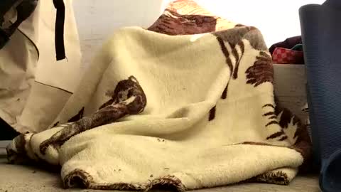 Snapshot of nuevotiempo chatting on 02.23.26 nuevotiempo online show from 02.23.26