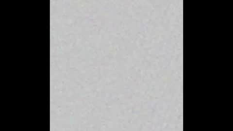 Obsidian stallion online show from 10.09.25