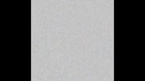 Obsidian stallion online show from 01.12.26