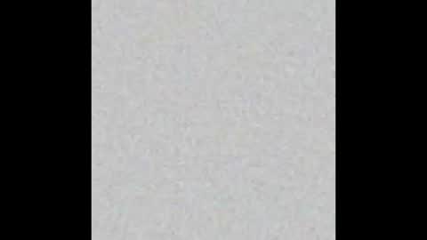 Obsidian stallion online show from 02.09.26