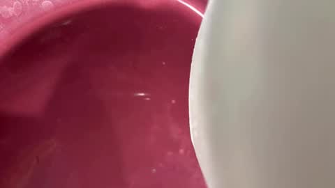 oconner701 online show from 11.06.25