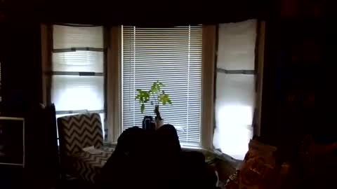 oscar flores online show from 02.24.26