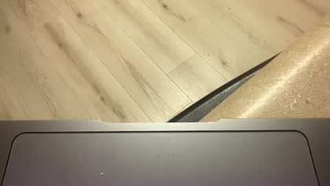 ofthatguy online show from 10.24.25