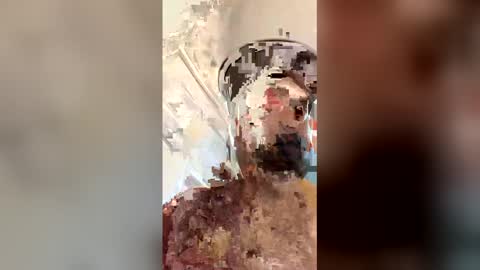 ogkftp online show from 04.20.26