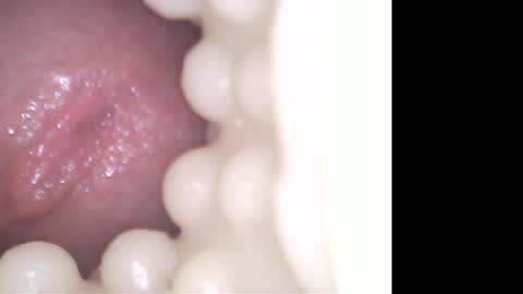 ohioguy4201985 online show from 04.21.26