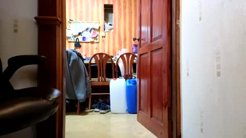 oldwankie online show from 02.07.25