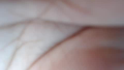 olivia hollywood online show from 02.03.25