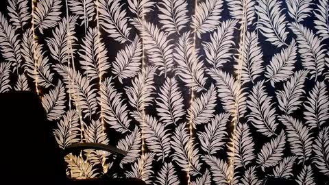 Kelly online show from 04.07.26