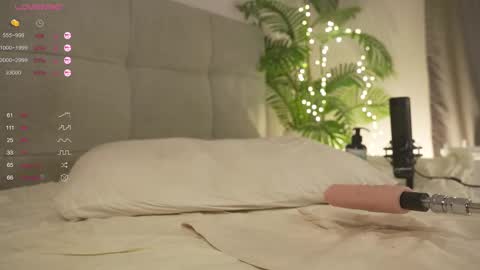 Snapshot of olsenspring chatting on 02.22.25 Lily dont forget to follow me  good to see you all online show from 02.22.25