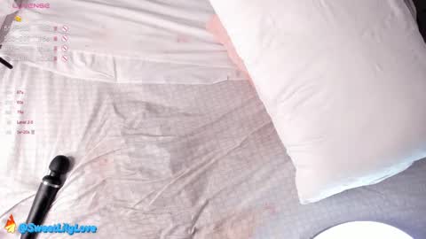 Snapshot of olsenspring chatting on 02.27.25 Lily dont forget to follow me  good to see you all online show from 02.27.25