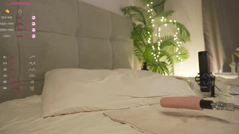 Snapshot of olsenspring chatting on 03.01.25 Lily dont forget to follow me  good to see you all online show from 03.01.25