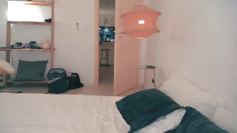 Snapshot of onelittlemermaid chatting on 11.27.25 Ariel online show from 11.27.25