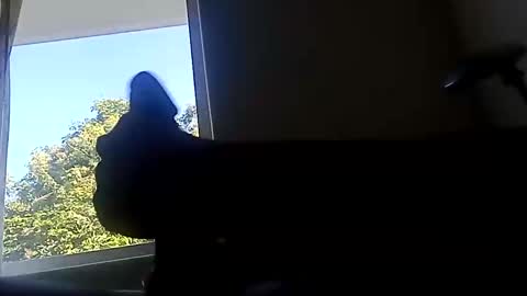 ootripoo online show from 09.19.25