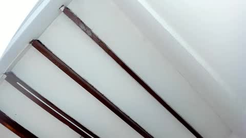 Miss Guzman  online show from 01.29.25