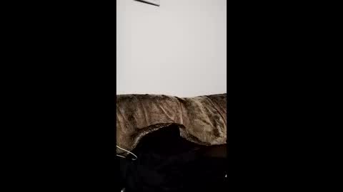 Owen kayz online show from 04.29.26